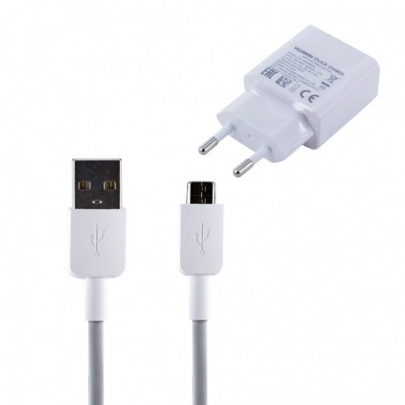 Sony AP32 charger 18W + MicroUSB cable, 2451968